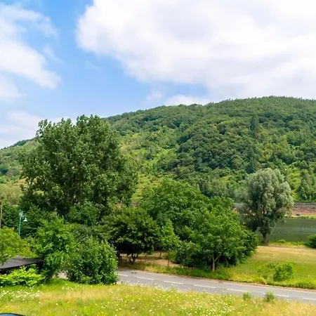 Moselle Valley Dom wakacyjny Sankt Aldegund